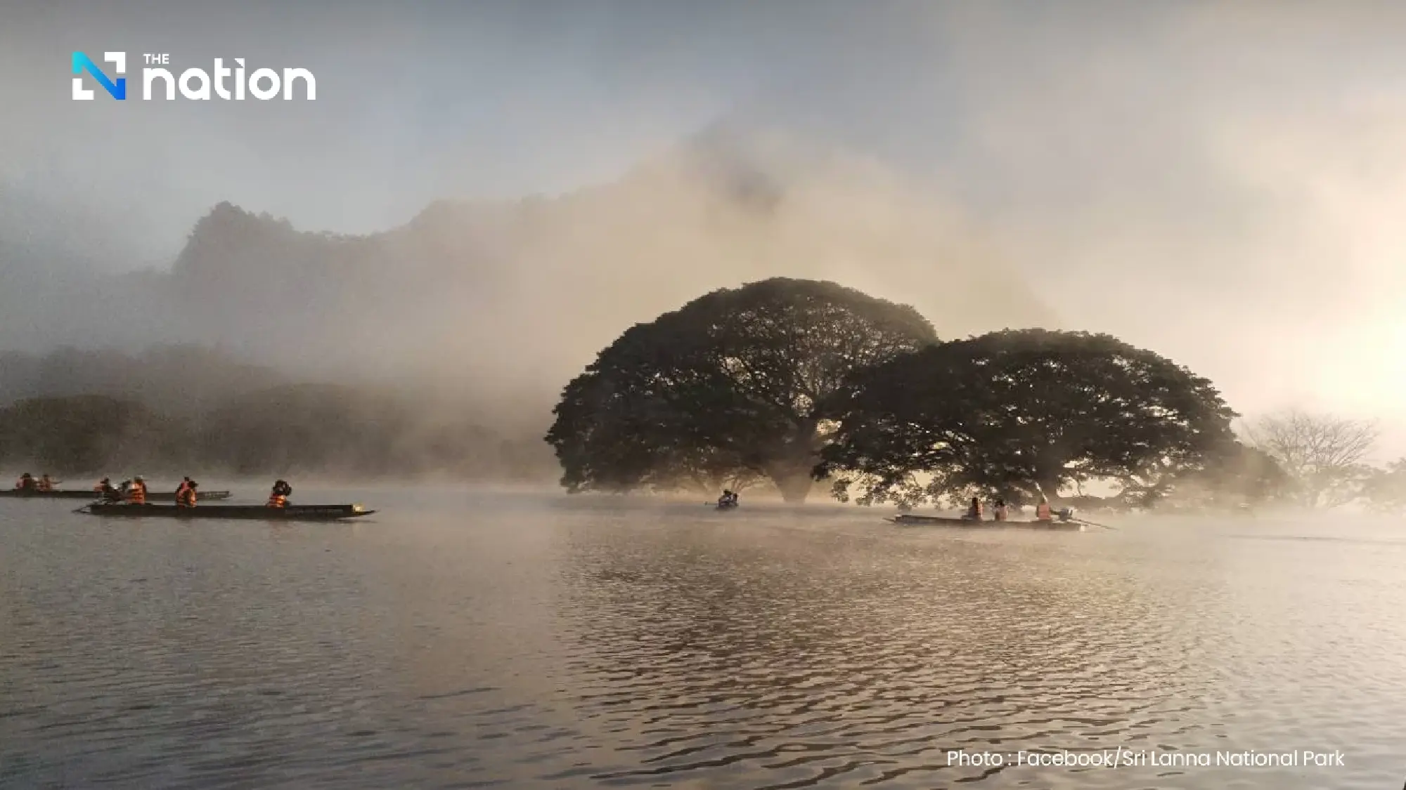 Tur Eksotis Susur Perahu di Thailand Melihat Pohon Monyet Raksasa Berusia 100 Tahun